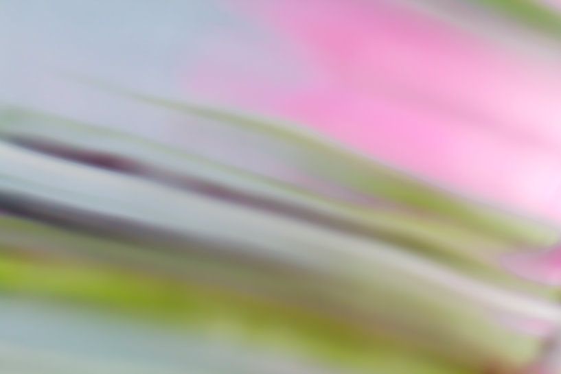 Sweet 'n Sour - abstraktes Foto mit frischen Farben von QEIMOY