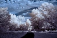 Between light and reality