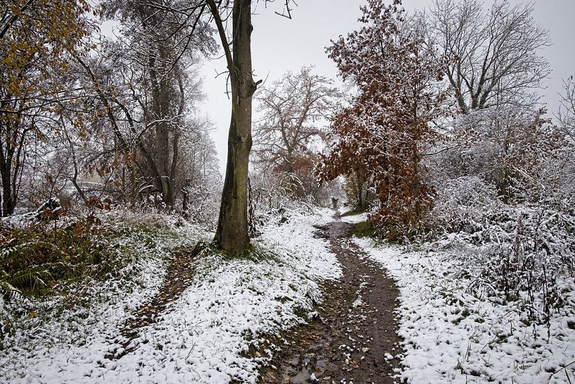 Roodborn-Piepert hiking trail by Rob Boon