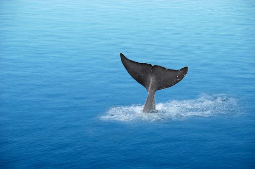 Waterworld 1 von Heike Hultsch