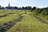 Ein Feld während der Ernte