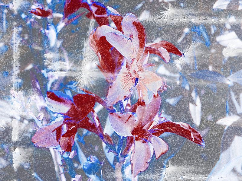 FlowerPower Fantasy 5-C par MoArt (Maurice Heuts)