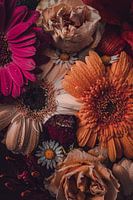 Still life Gerbera