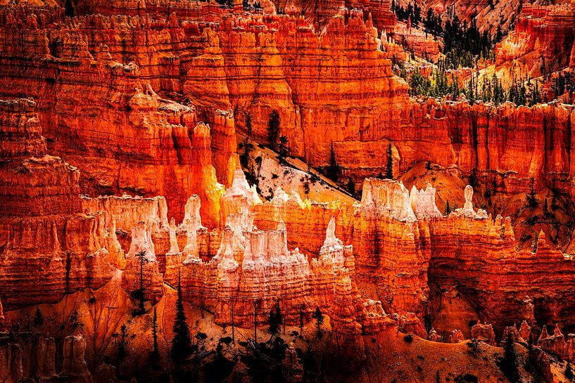 Landscape enchanting hoodoos in Bryce Canyon National Park Utah USA by Dieter Walther