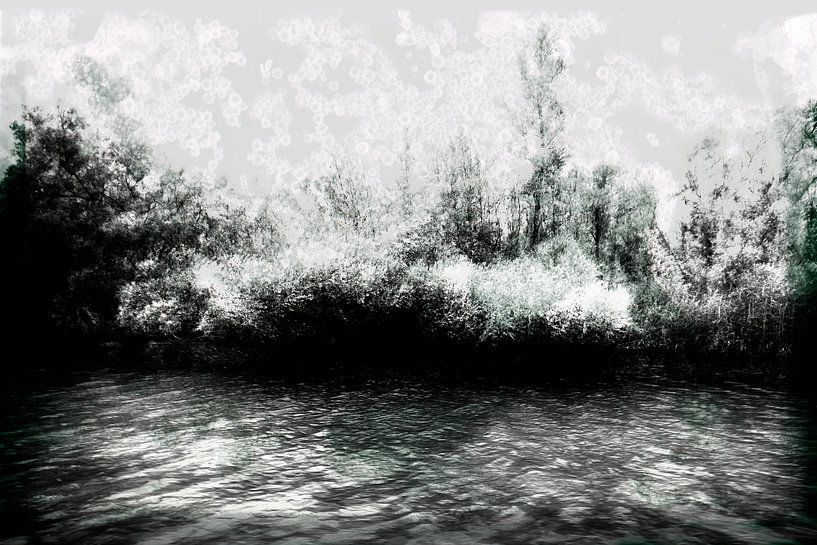 Der Nationalpark De Biesbosch, das Ufer #03 von Peter Baak