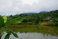 Das Unbekannte in Vietnam