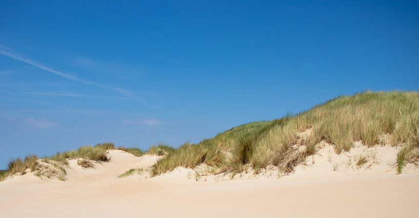 duinen brouwersdam von Daphne Brouwer