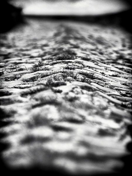 Les pavés du Carrefour de l'Arbre par Han Balk