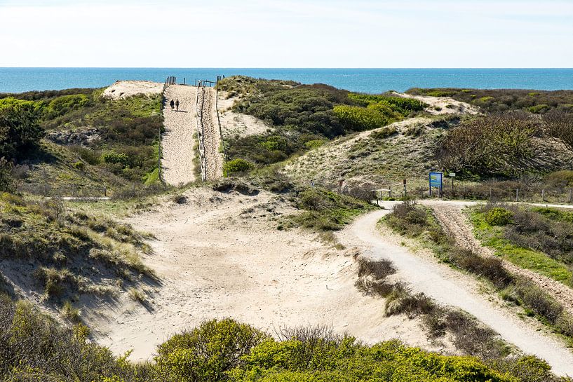Dunes and sea near Noordwijk by Michel van Kooten