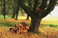 Klaar voor de winter