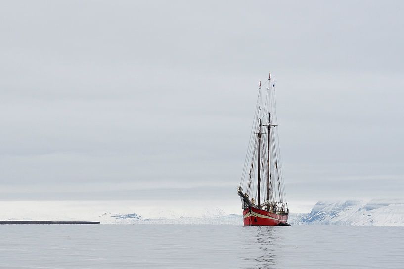De Noorderlicht par Tariq La Brijn