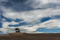 Toscaanse Eenzaamheid 