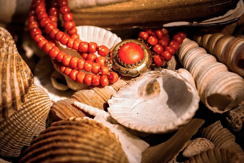 Stilleben mit Blutkorallen-Halskette von Evert Jan Looise