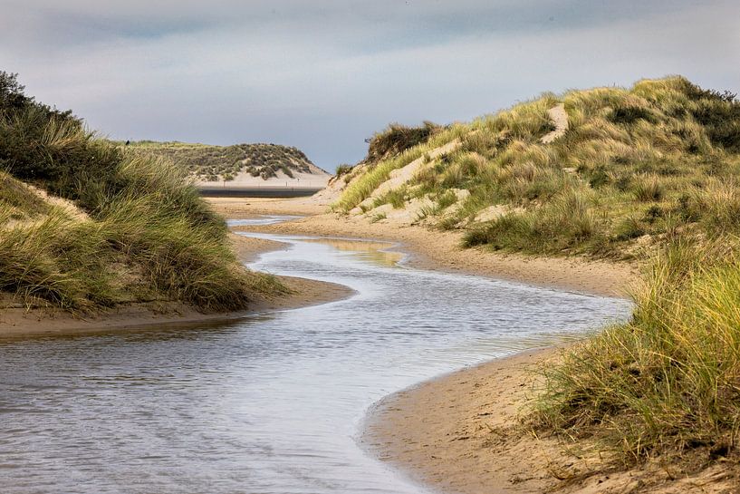 De Slufter ist ein einzigartiges Naturschutzgebiet in den Dünen der Watteninsel Texel von Rob IJsselstein