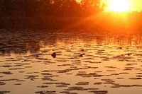 sonnenuntergang auf see