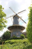 Molen de Windhond