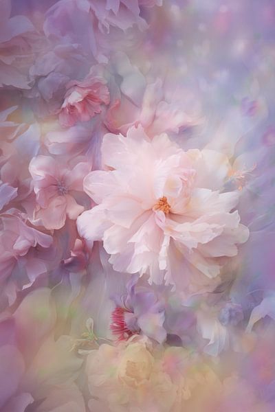 Gros plan onirique de pivoines et de pétales rose tendre dans une brume pastel. par Joriali photographie et peintures