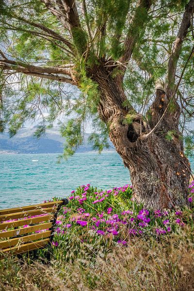 Relax and enjoy the view van Caroline Pleysier