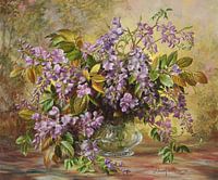 Glyzinien der Junikirche