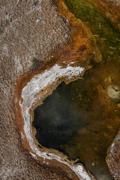 Rugged and organic | Yellowstone National Park | America | Travel photography par Kimberley Helmendag