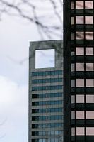 Buildings in Rotterdam