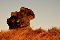 Statues de la mer Scheveningen