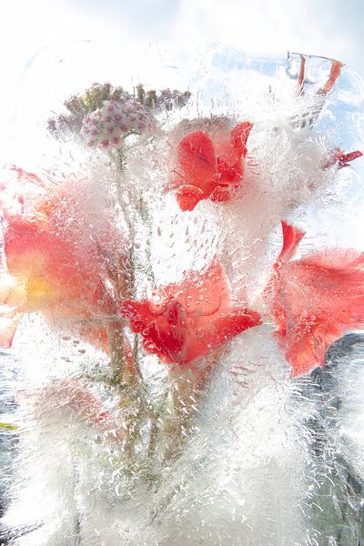 Fleurs à glace par Johan Pape