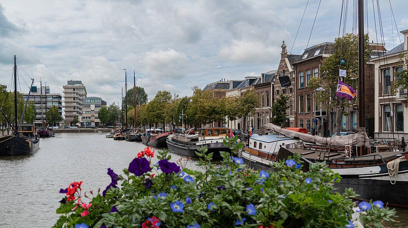 Leeuwarden, Wester Stadsgracht by Ingrid Aanen