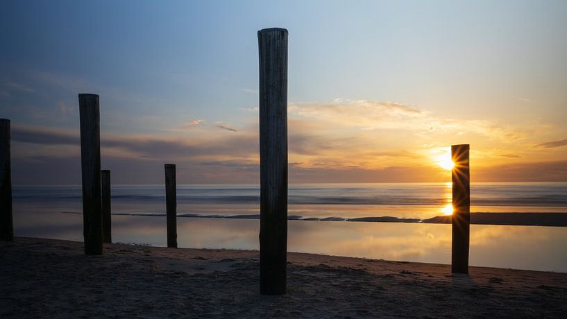 Palendorp Petten van Bram Lubbers