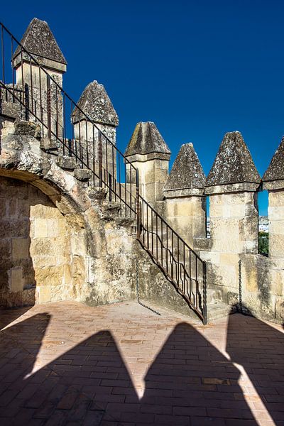 Alcazar de Cordoba par Harrie Muis