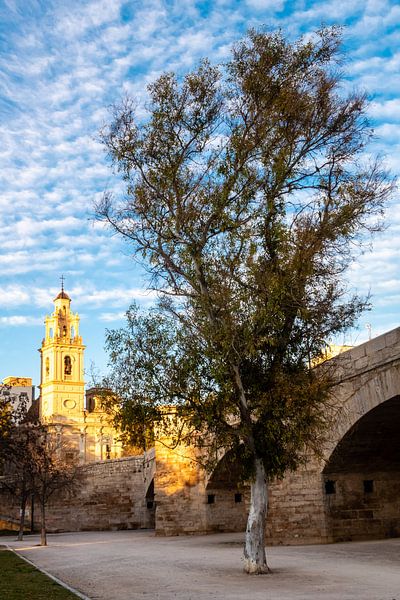 Turia Park in Valencia mit Brücke und Kirche von Dieter Walther