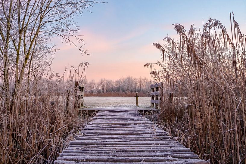 Winter in the Schammer by Margreet Riedstra