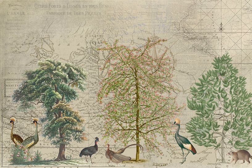 Le voyage des oiseaux par Andrea Haase