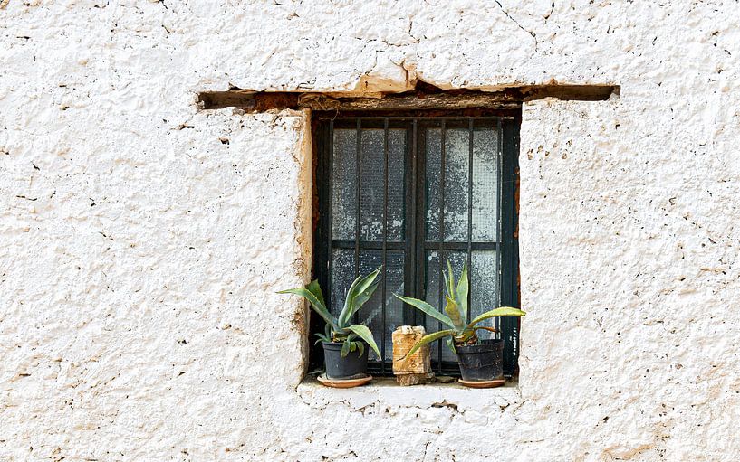 Fenster von Pieter Heres