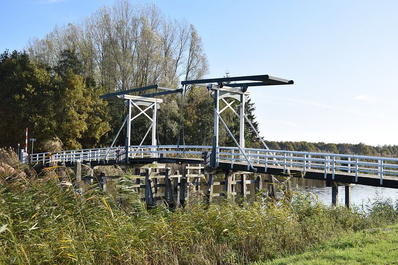 Brug van Colinda De Vries - Trof