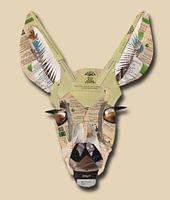 Junge aufgeschreckte Rehe