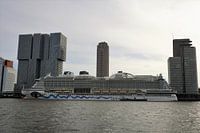 Cruise ship in Rotterdam
