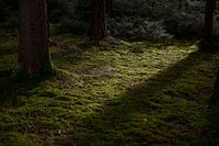 there's always a light