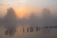 Un magnifique lever de soleil dans le cadre aquatique de Grouw