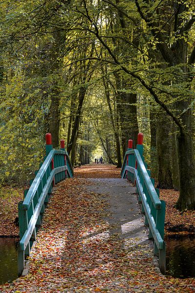 Amsterdamer Wald von Peter Bartelings