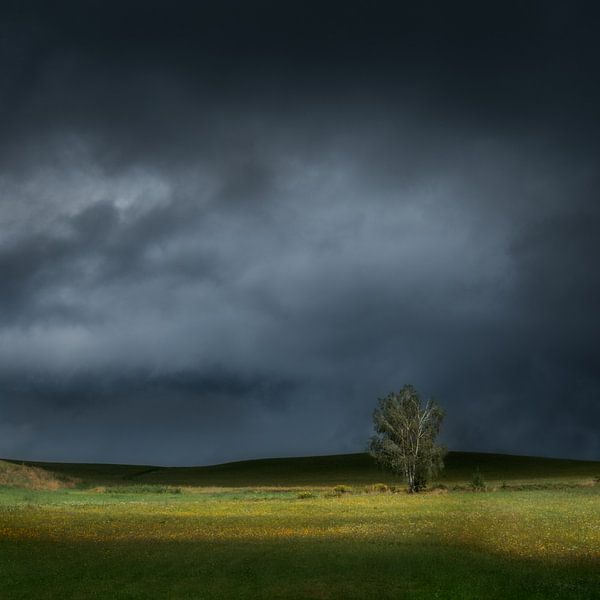 Against the dark von Ruud Peters