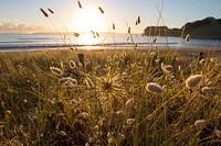 Duinlandschap bij zonsopkomst
