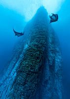 Two Giant Manta Rays swim in Roundabout