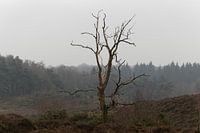 Herbst auf der Posbank