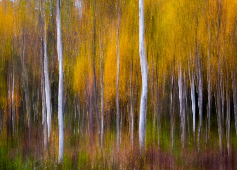 Abstracte herfst van Andreas Christensen