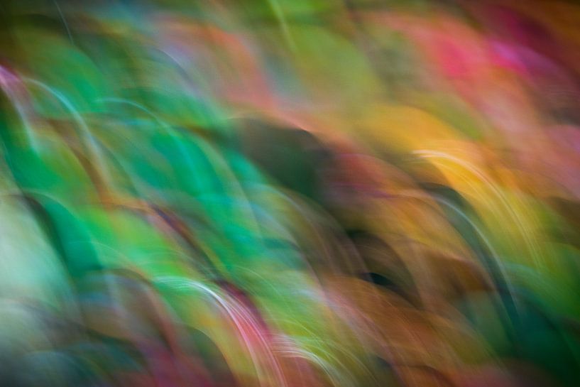 Een kleurenspel van verbeelding par AnyTiff (Tiffany Peters)