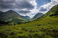 Glencoe