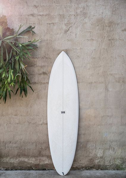 White Surfboard by Shot by Clint