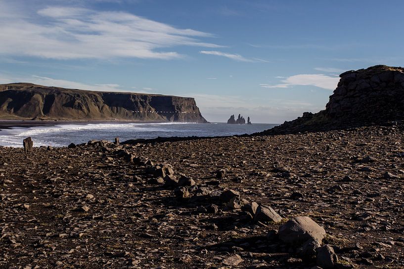 Island von Eric van Nieuwland