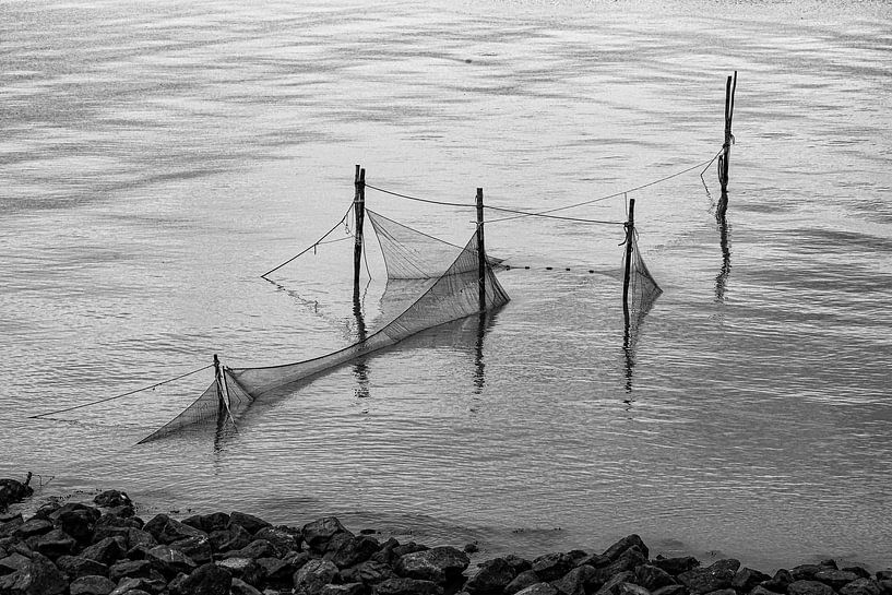 fishing nets by vascofialho.nl